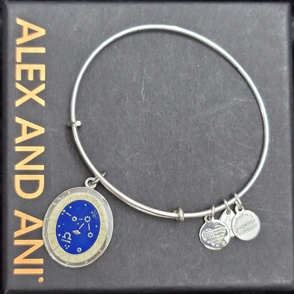 Alex and Ani Libra Charm Bracelet